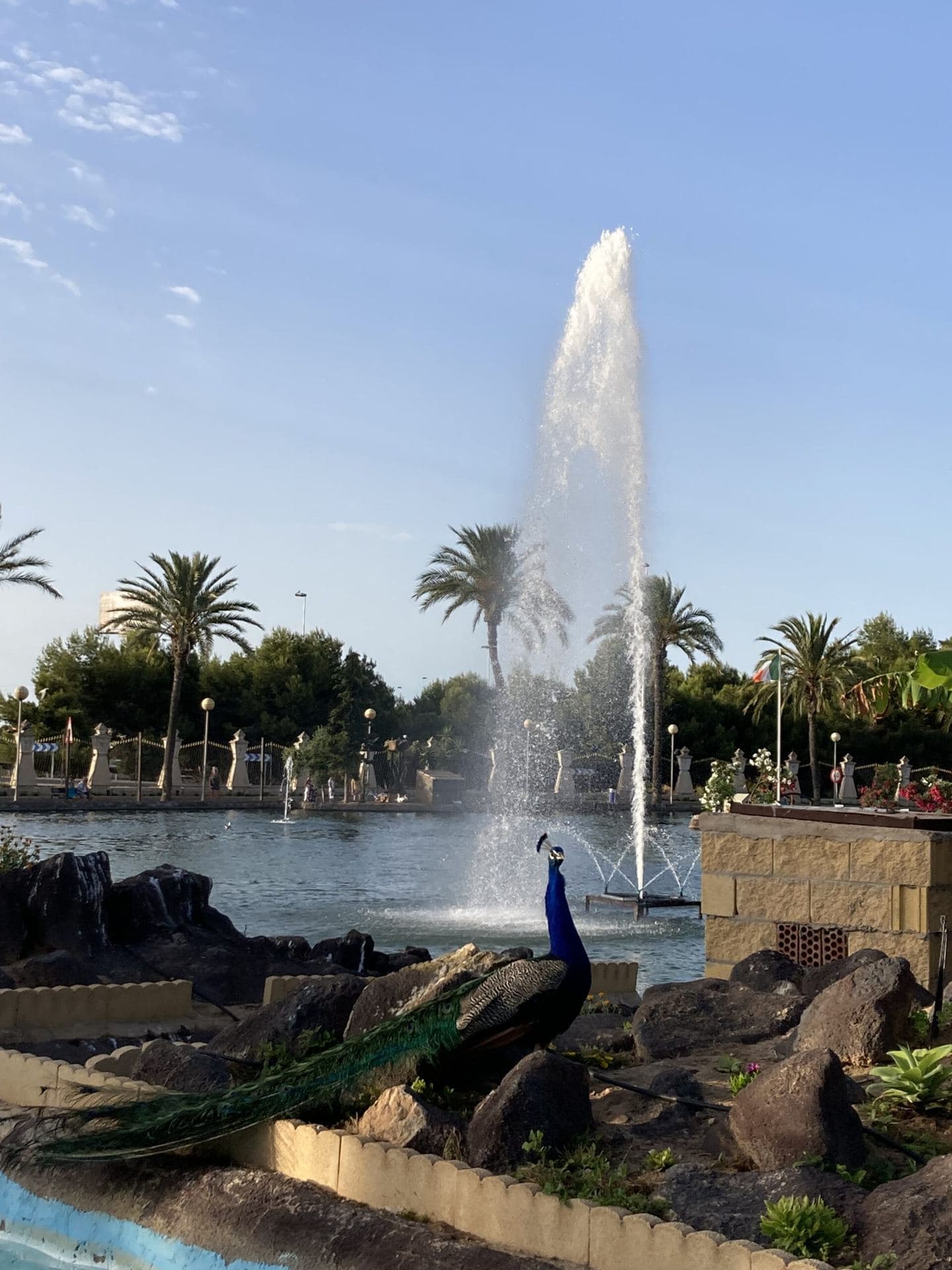 Springbrunnen im Stadtpark