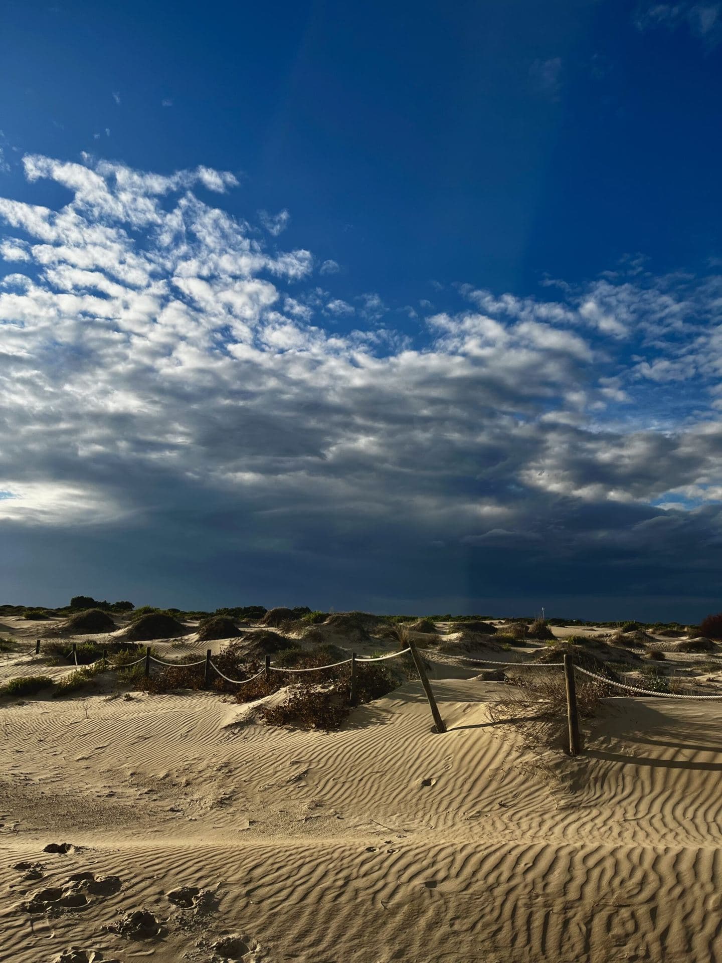Sanddünen unter blauem Himmel