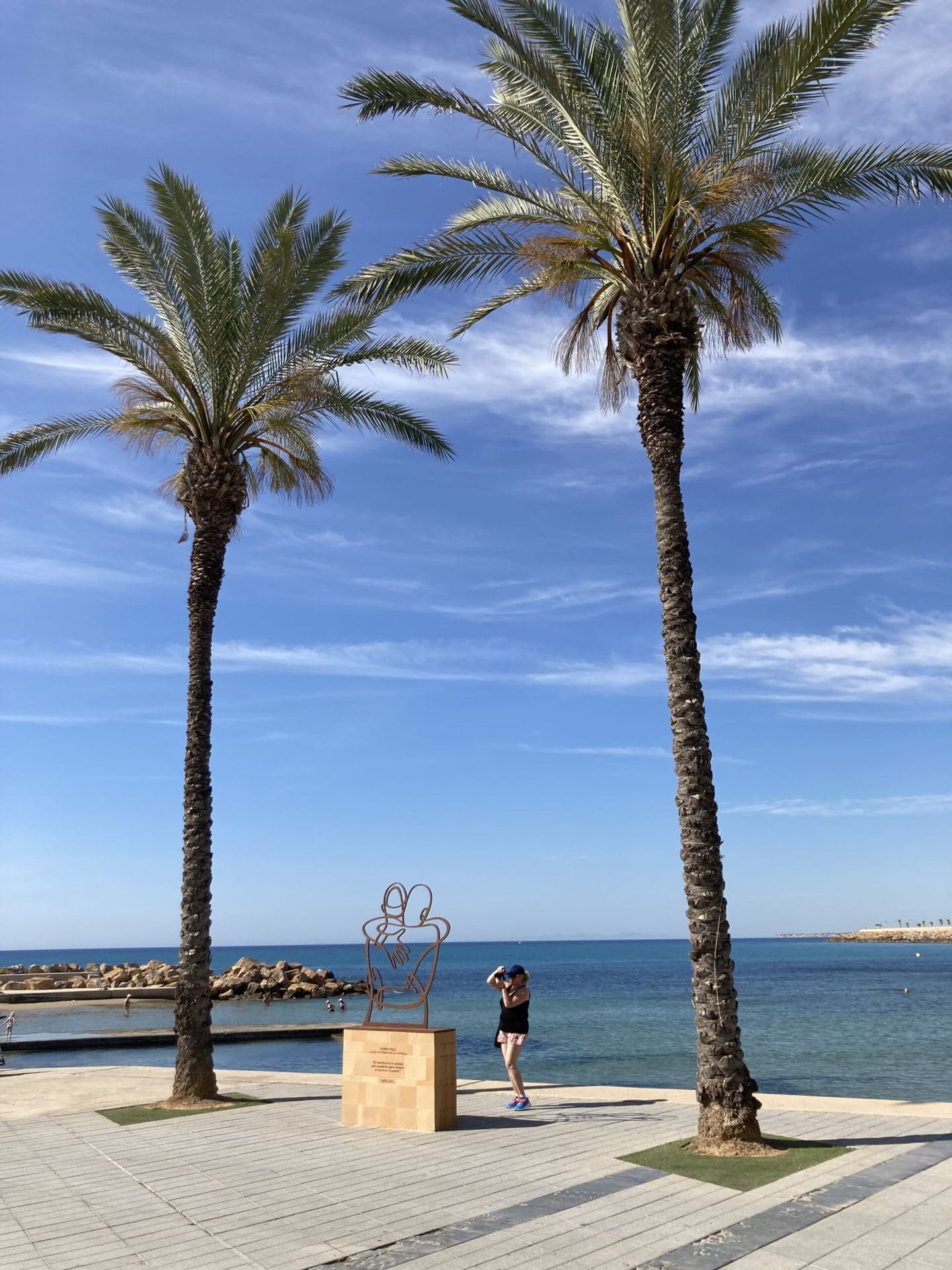 Promenade mit hohen Palmen
